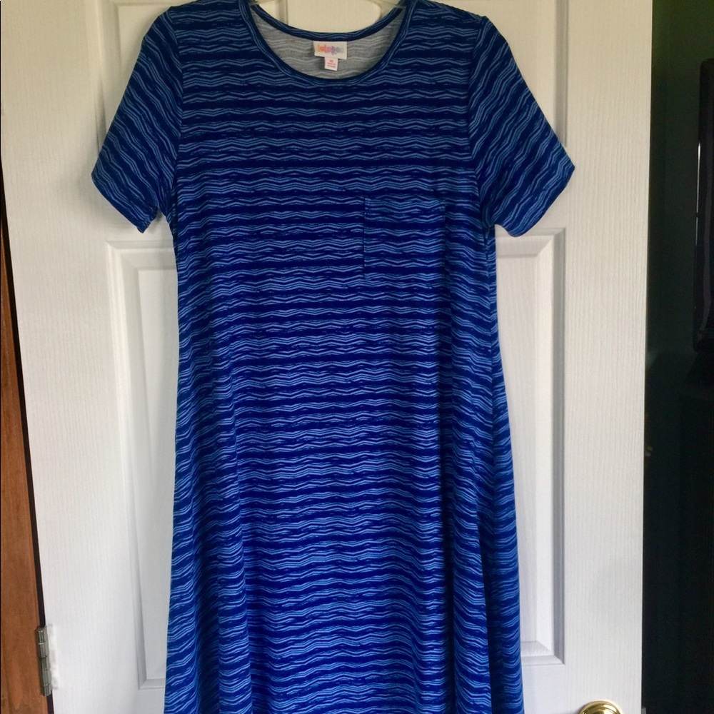 LuLaRoe Like New Medium Carly